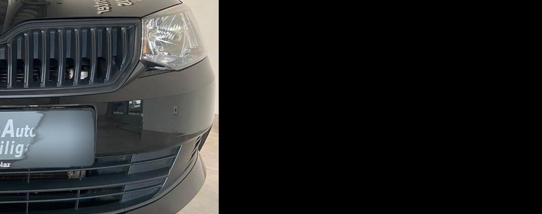 Skoda Fabia Combi Sitzheizung Klima AUX